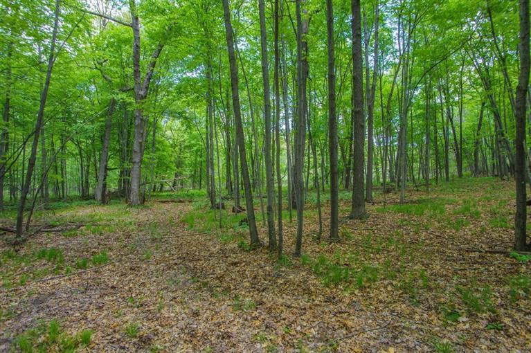 7940 Moeckel Road Grass Lake, MI 49240 - Photo 30 of 35 Photo 30
