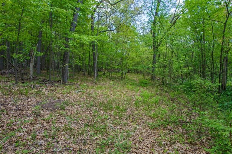 7940 Moeckel Road Grass Lake, MI 49240 - Photo 32 of 35 Photo 32