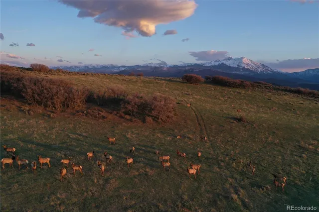 $12,995,000 | 0 County Road 100, Carbondale, CO 81623