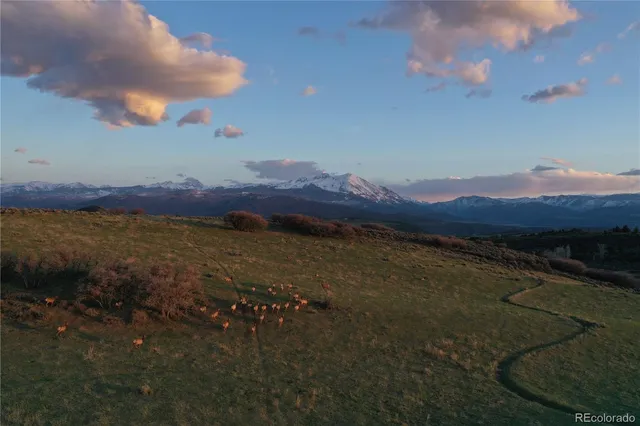 $12,995,000 | 0 County Road 100, Carbondale, CO 81623