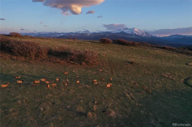 $12,995,000 | 0 County Road 100, Carbondale, CO 81623