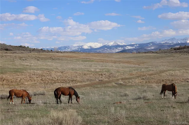 $12,995,000 | 0 County Road 100, Carbondale, CO 81623