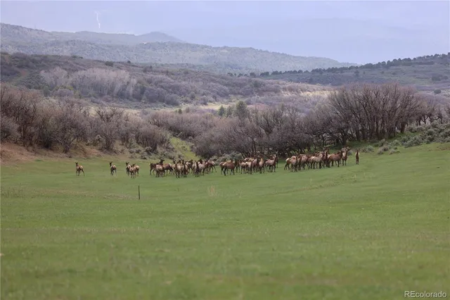 $12,995,000 | 0 County Road 100, Carbondale, CO 81623