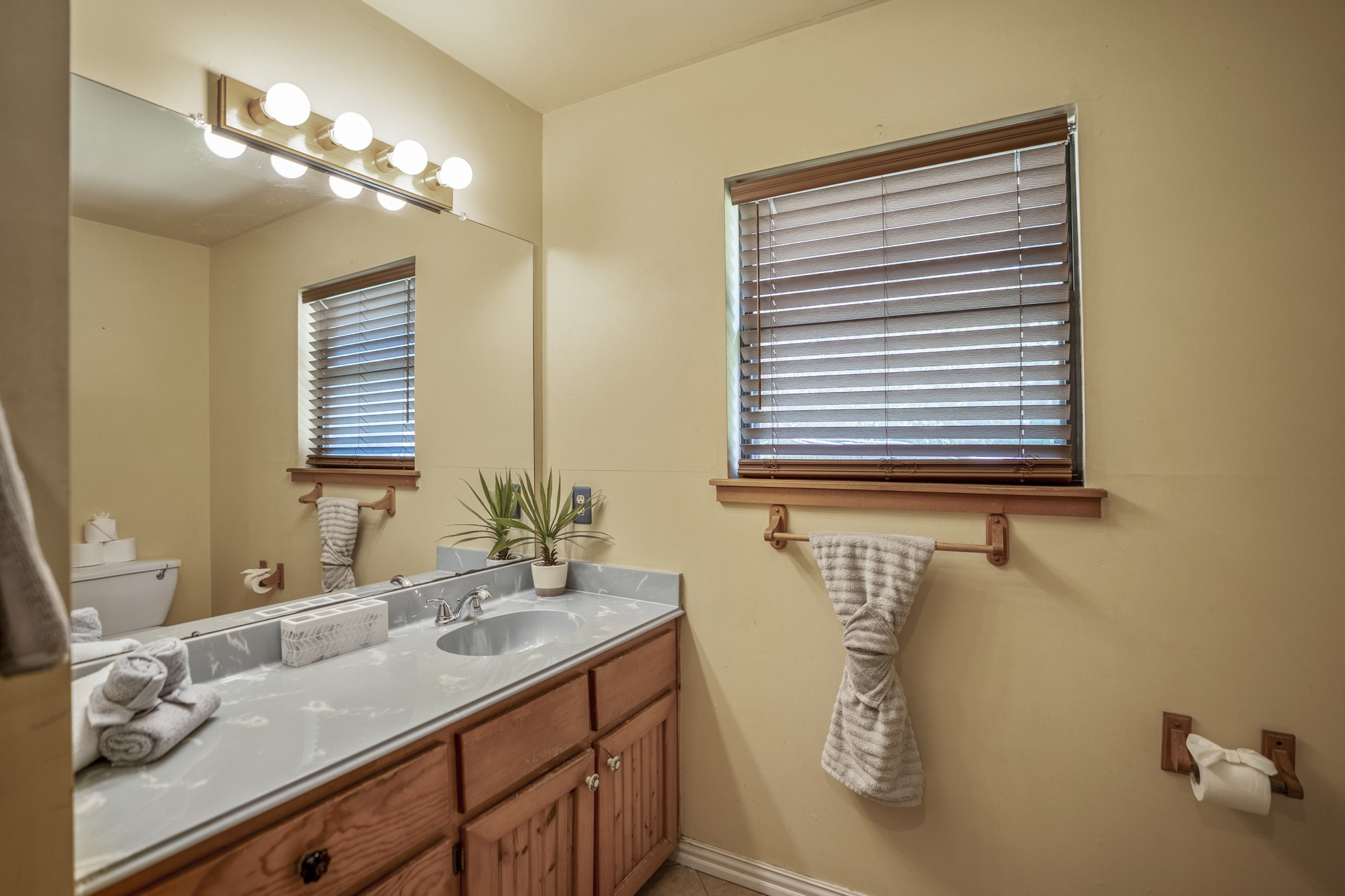 31370 Lazy Ridge Drive Waller, TX 77484 - Photo 27 of 43 Single sink and a window to bring in natural light.