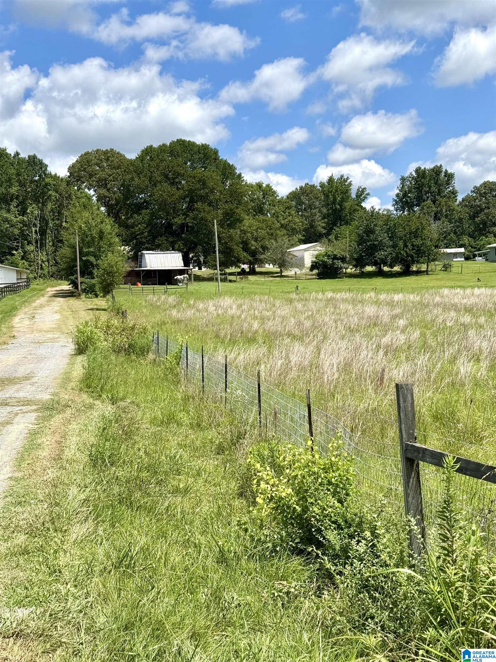 400 Flag Pole Mountain Road Childersburg, AL 35151 - Photo 14 of 19
