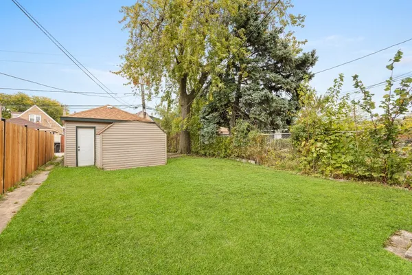 a view of a backyard with potted plants and large tree