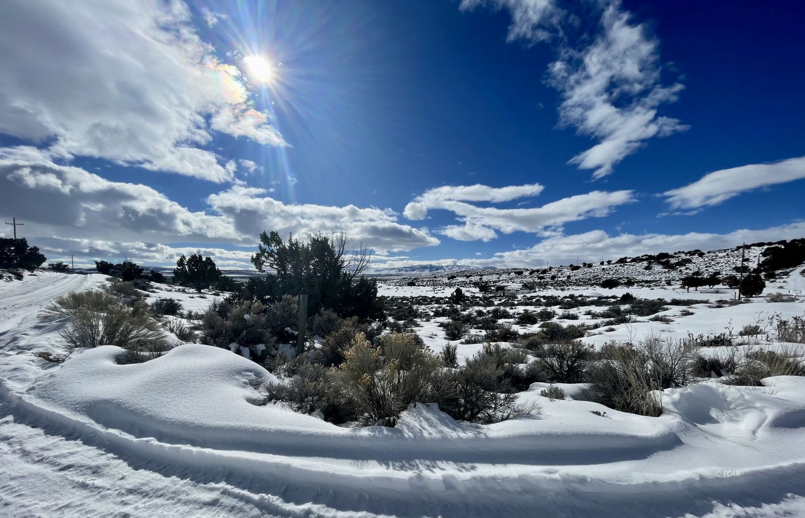 Grant Ave Spring Creek Spring Creek, NV 89815 - Photo 1 of 6