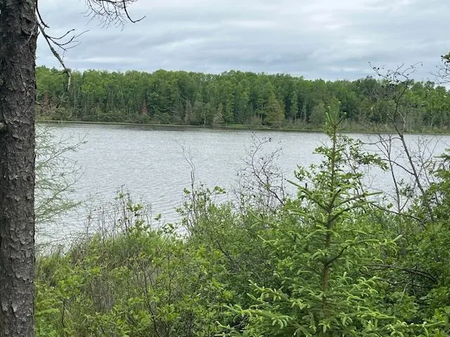 $159,900 | 2217 Michaels Beach Road, Forbes, MN 55738