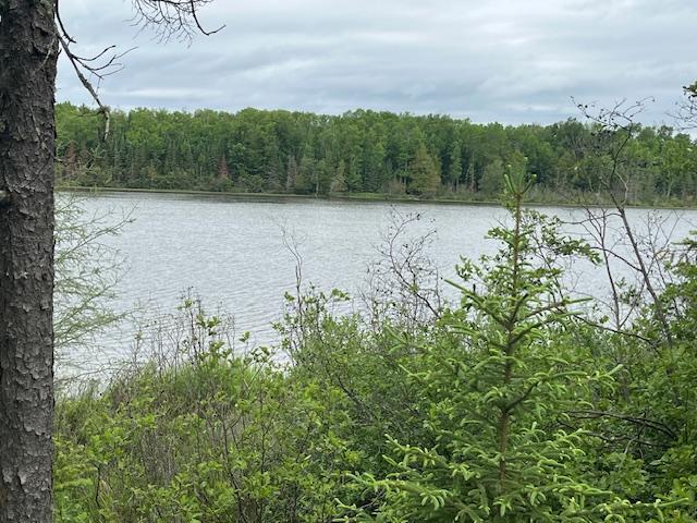 2217 Michaels Beach Road Forbes, MN 55738 - Photo 29 of 34