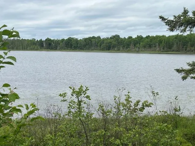 $159,900 | 2217 Michaels Beach Road, Forbes, MN 55738