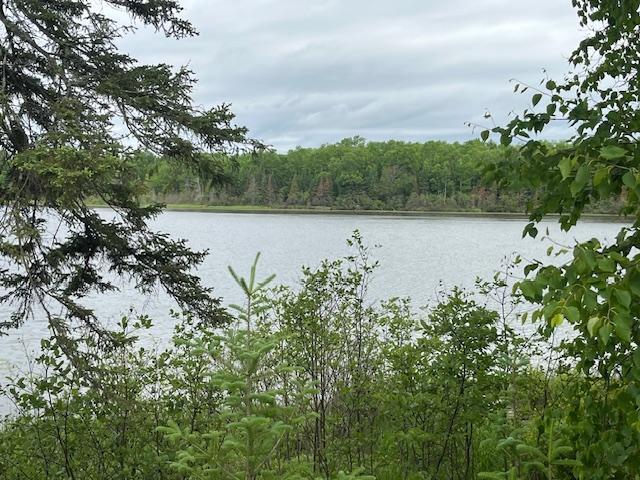 2217 Michaels Beach Road Forbes, MN 55738 - Photo 32 of 34