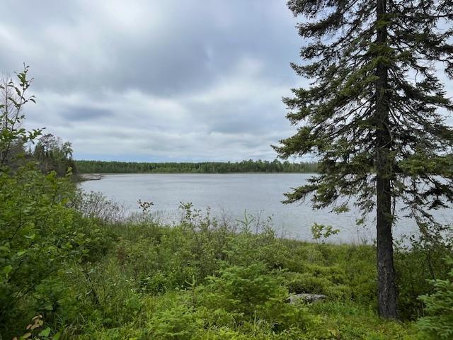 2217 Michaels Beach Road Forbes, MN 55738 - Photo 34 of 34