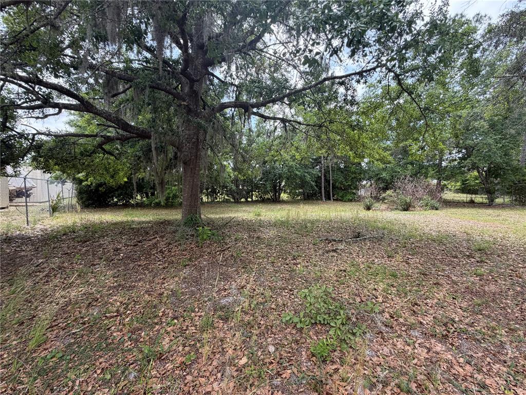 24138 Panther Road Astor, FL 32102 - Photo 9 of 34