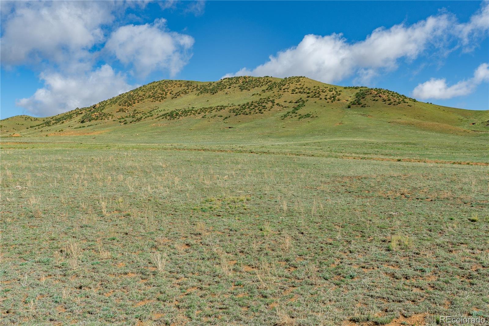 5868 Jackson Road Hartsel, CO 80449 - Photo 1 of 24 a view of a building