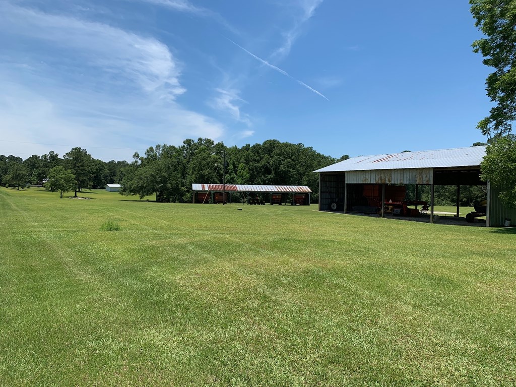 0 South Co Road Ashford, AL 36312 - Photo 13 of 16