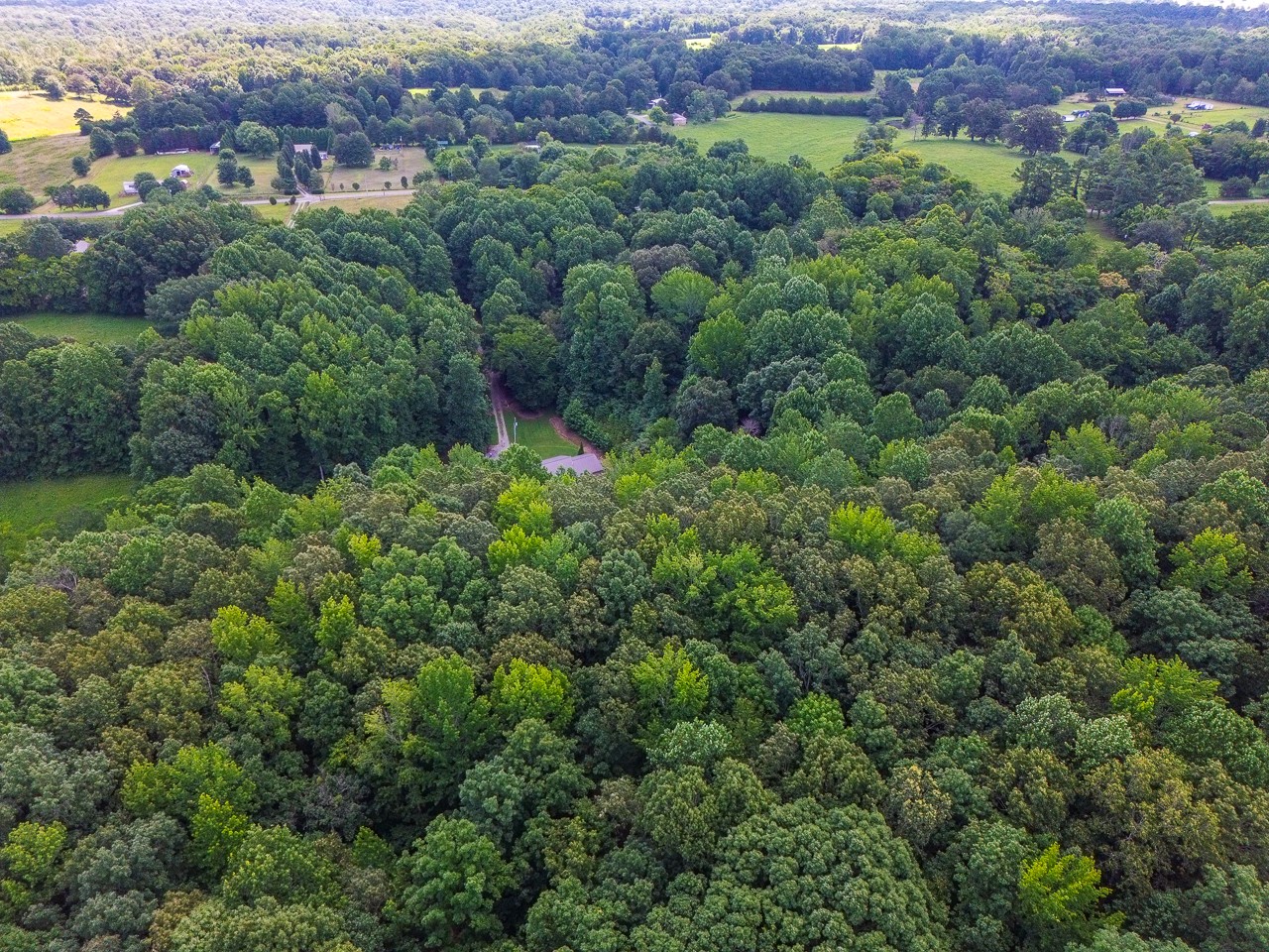 144 North Howard Fitch Road Kelso, TN 37348 - Photo 51 of 59 an aerial view of a house with a yard and large trees