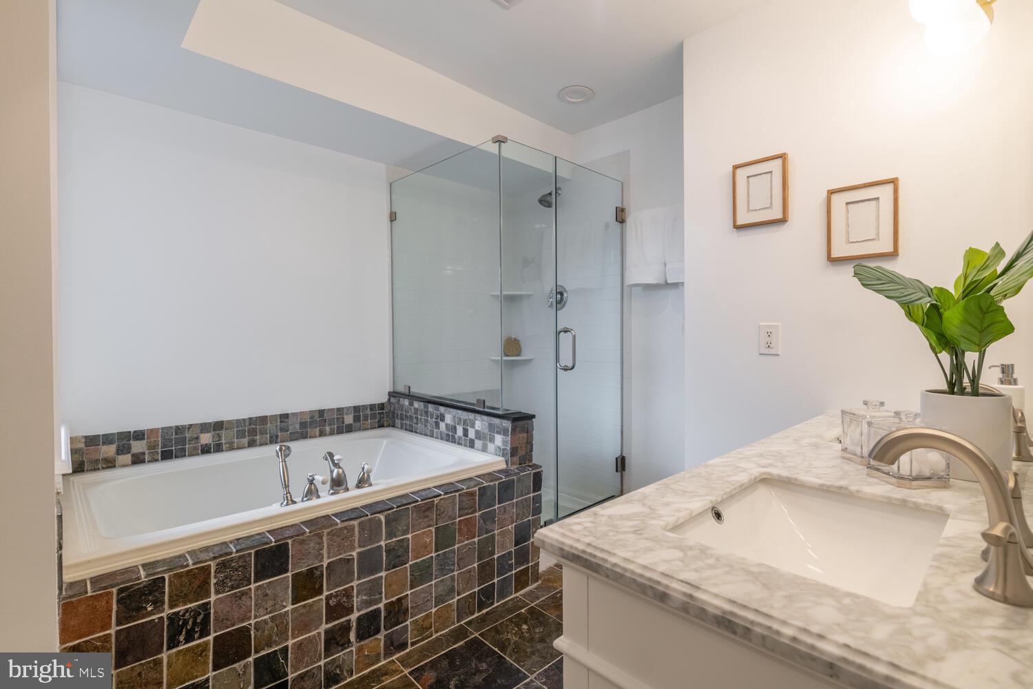 302 L Street Southeast Washington, DC 20003 - Photo 23 of 32 a bathroom with a bathtub and a sink