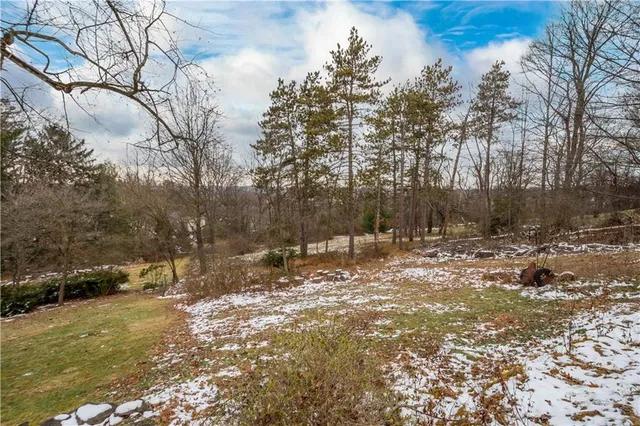 a view of a yard with trees