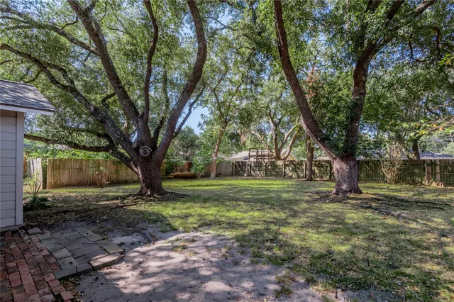 a view of a yard with plants and trees