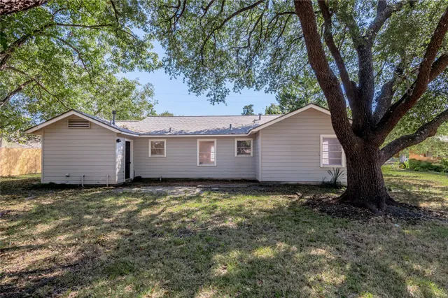 a tree in a yard with a tree