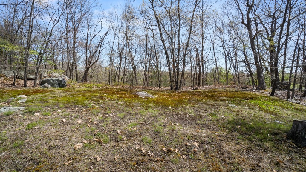 53 Cedarcrest Road Boston, MA 02132 - Photo 28 of 29 a yard with trees in the background