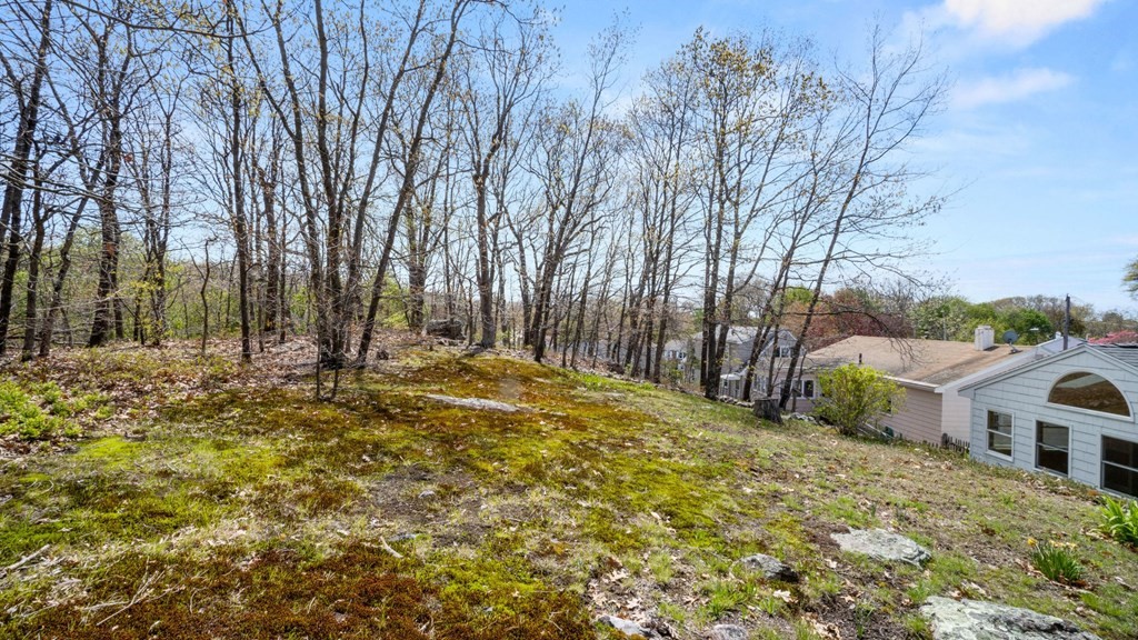 53 Cedarcrest Road Boston, MA 02132 - Photo 29 of 29 a view of backyard with tree