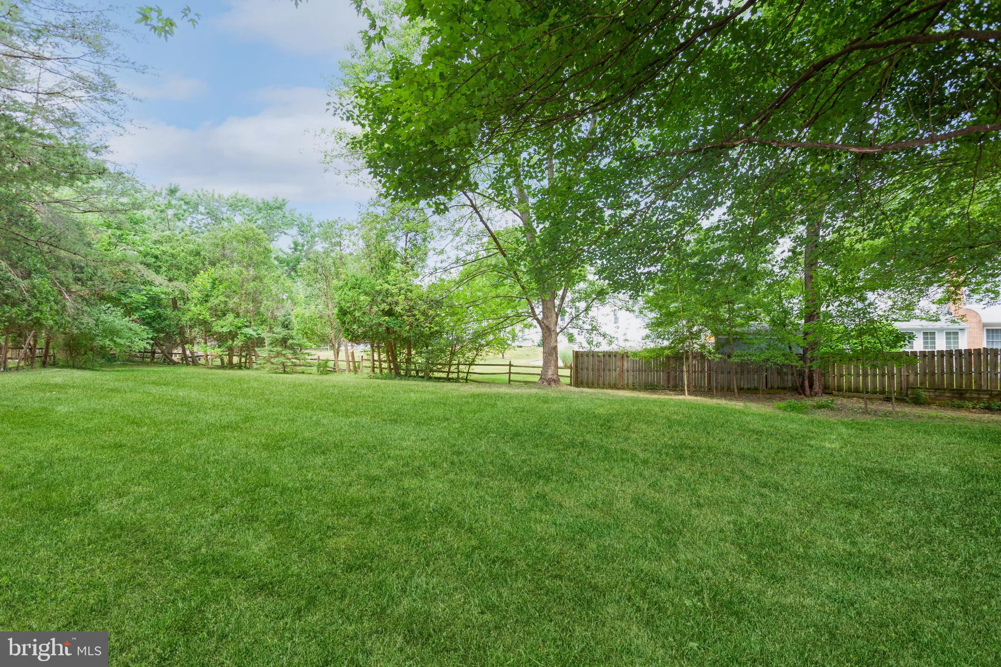 2417 Countryside Drive Silver Spring, MD 20905 - Photo 44 of 54 View from deck