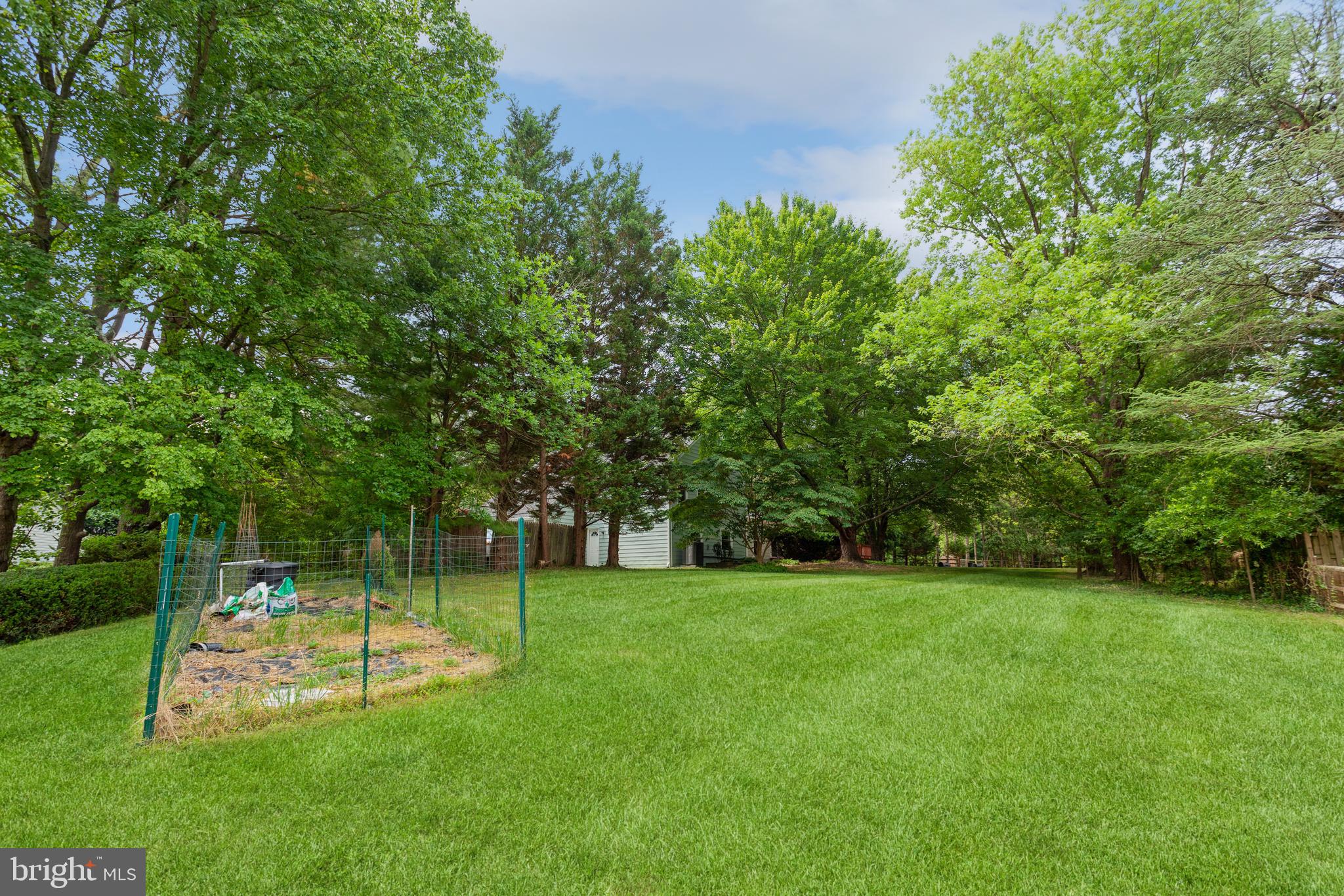 2417 Countryside Drive Silver Spring, MD 20905 - Photo 45 of 54