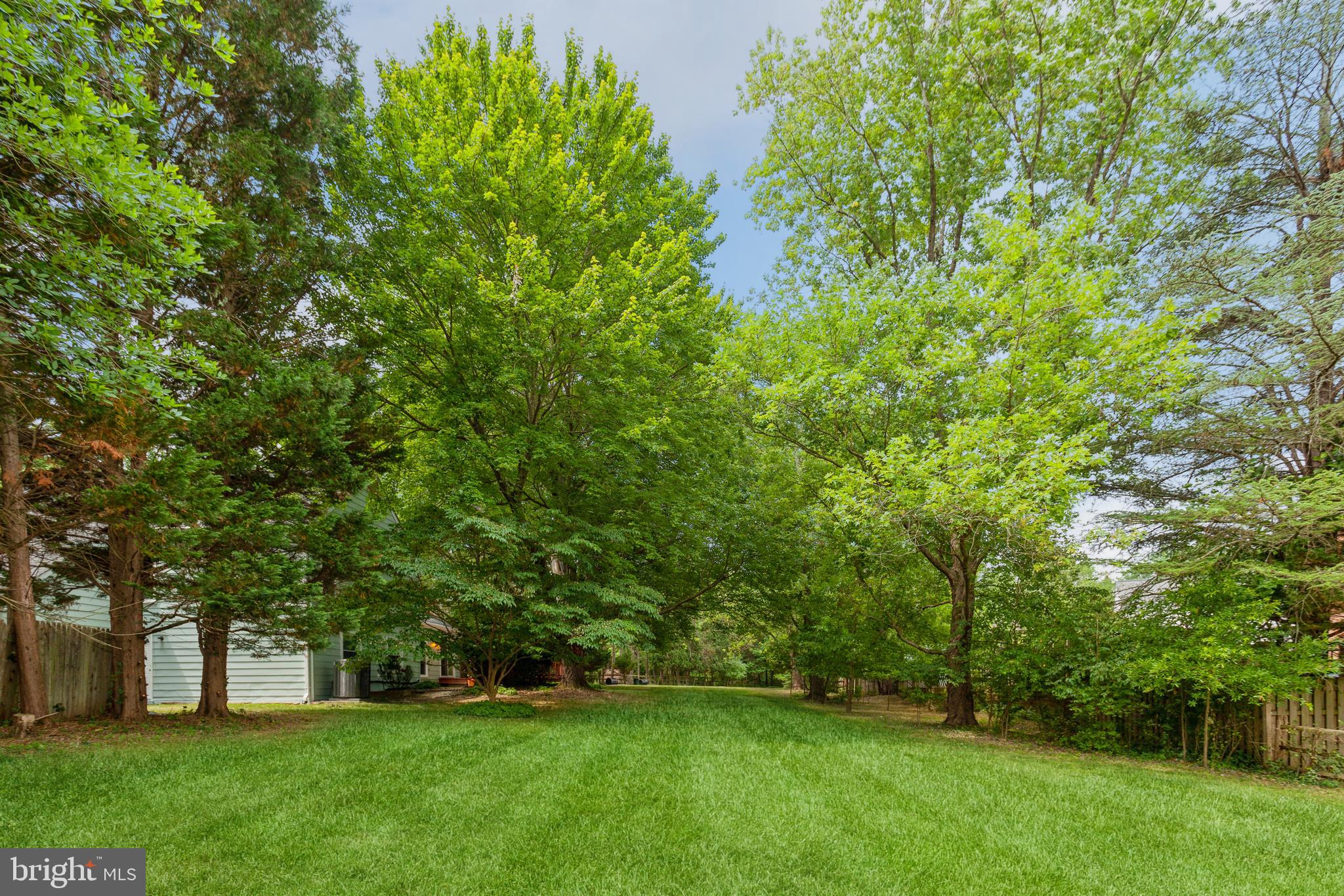 2417 Countryside Drive Silver Spring, MD 20905 - Photo 46 of 54