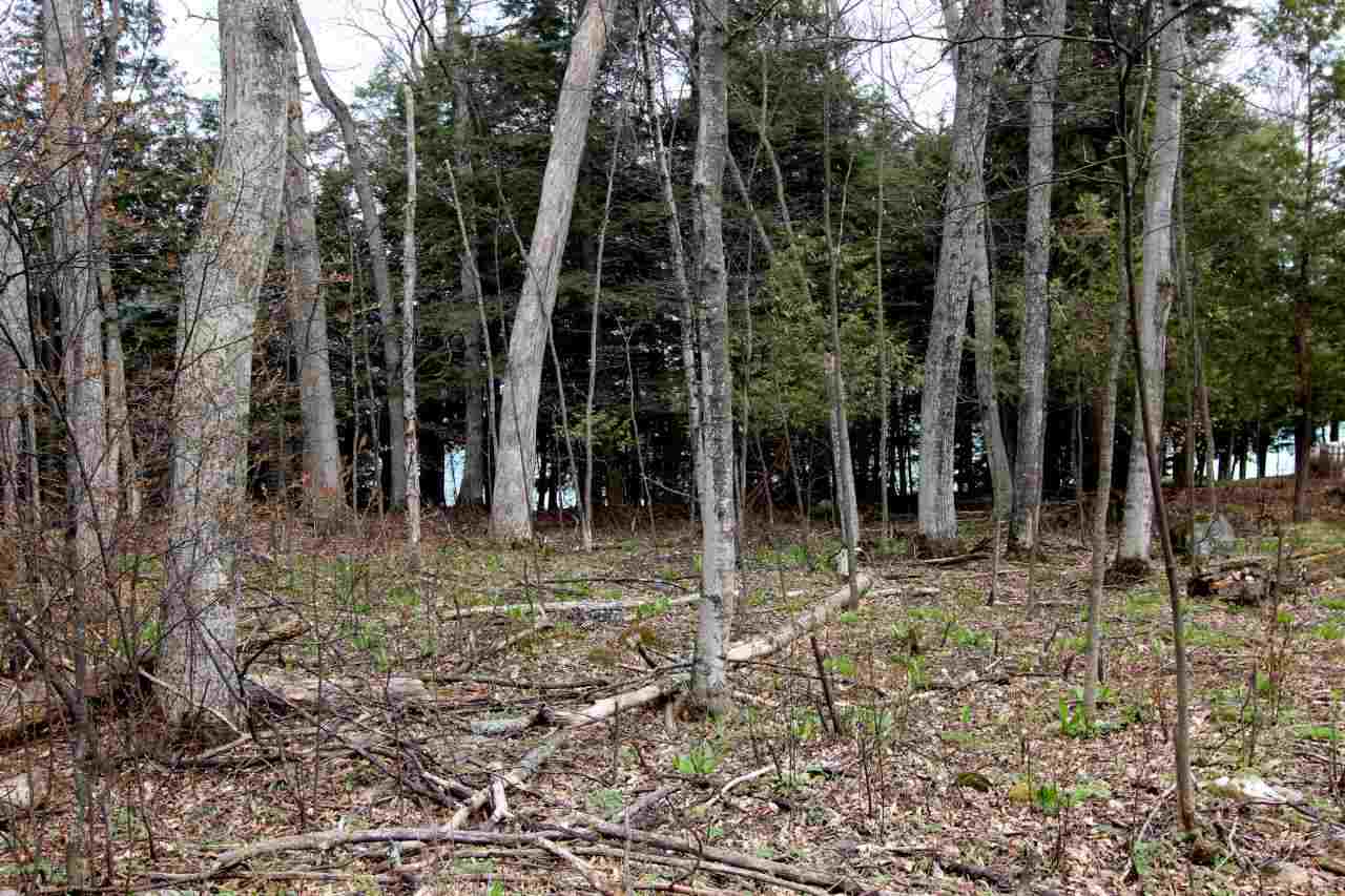 Lot 22 North Omena Point Road Omena, MI 49674 - Photo 17 of 27 1830936-16.JPG