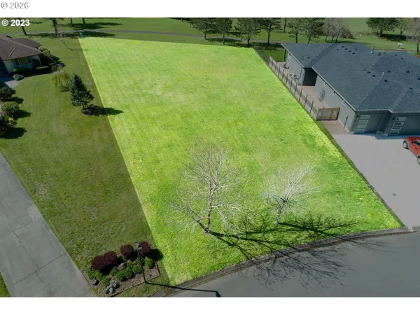 a view of a yard
