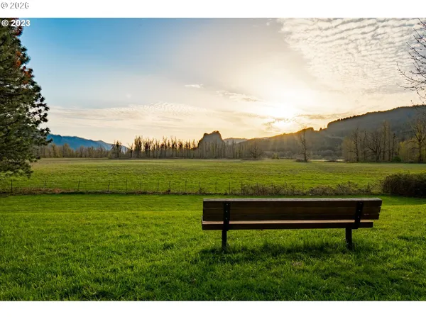 a view of a bench in a field of grass and trees