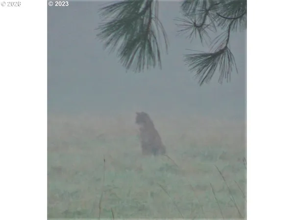 a close up of a wall