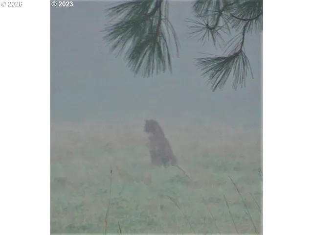 $199,000 | 319 Hamilton, North Bonneville, WA 98639