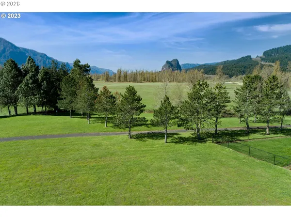 a view of a grassy field with trees