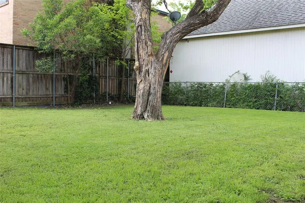 a view of a yard with a tree and a wooden fence