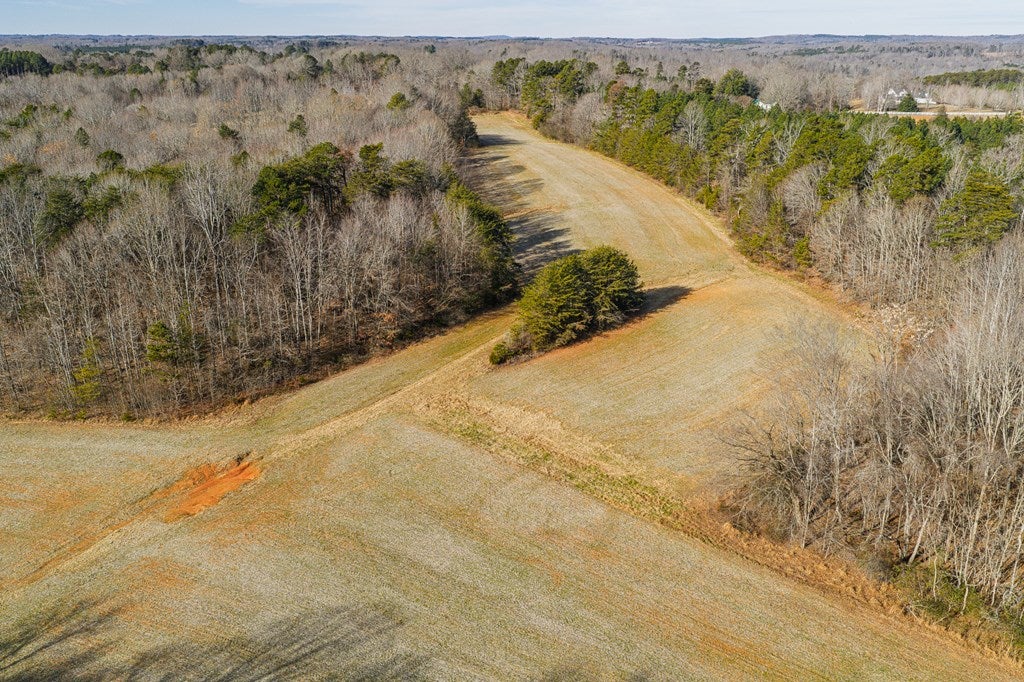 1105 Brooklyn Road Sutherlin, VA 24594 - Photo 31 of 77 Gallery Image 31