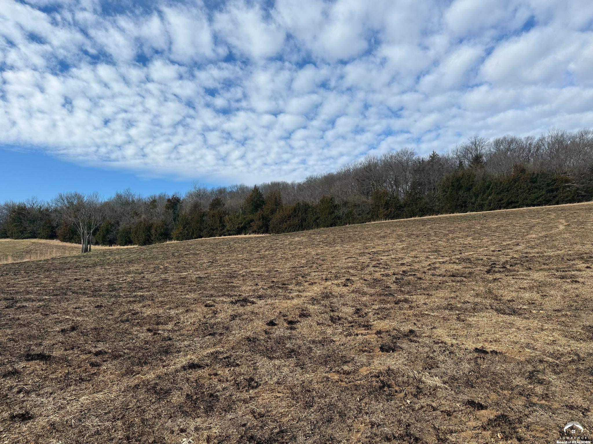 1937 East 850 Road Lecompton, KS 66050 - Photo 6 of 10