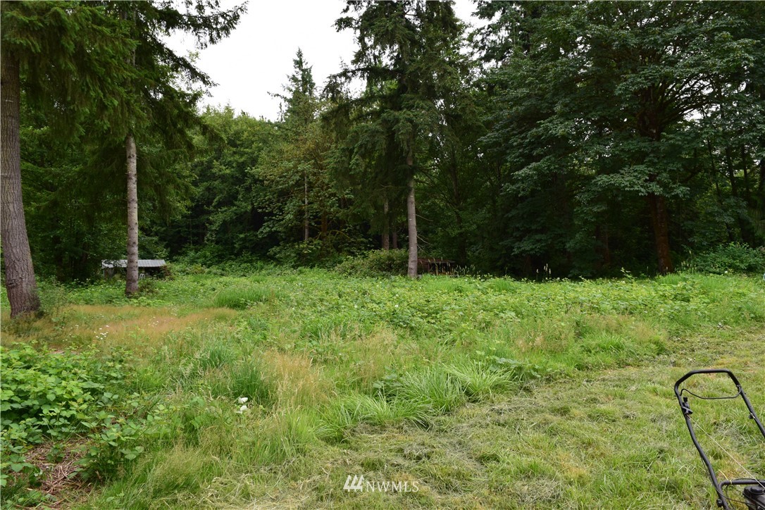 658 Gore Road Onalaska, WA 98570 - Photo 4 of 5 Gallery Image 4