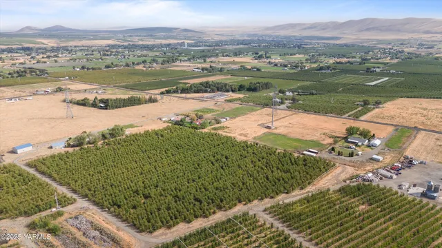 a view of yard with trees