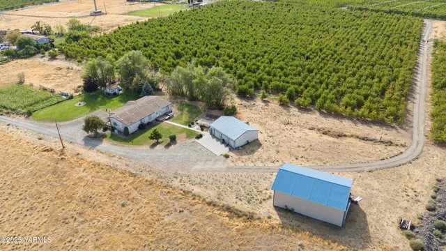 a view of a yard with trees