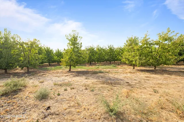 a view of an ocean with city view