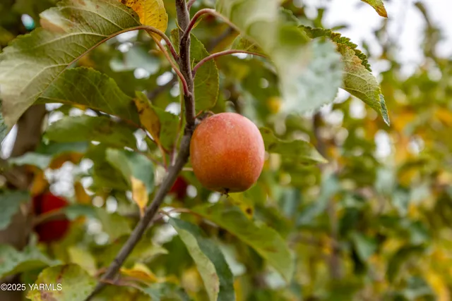 $2,500,000 | 14306 West Acord Road, Benton City, WA 99320