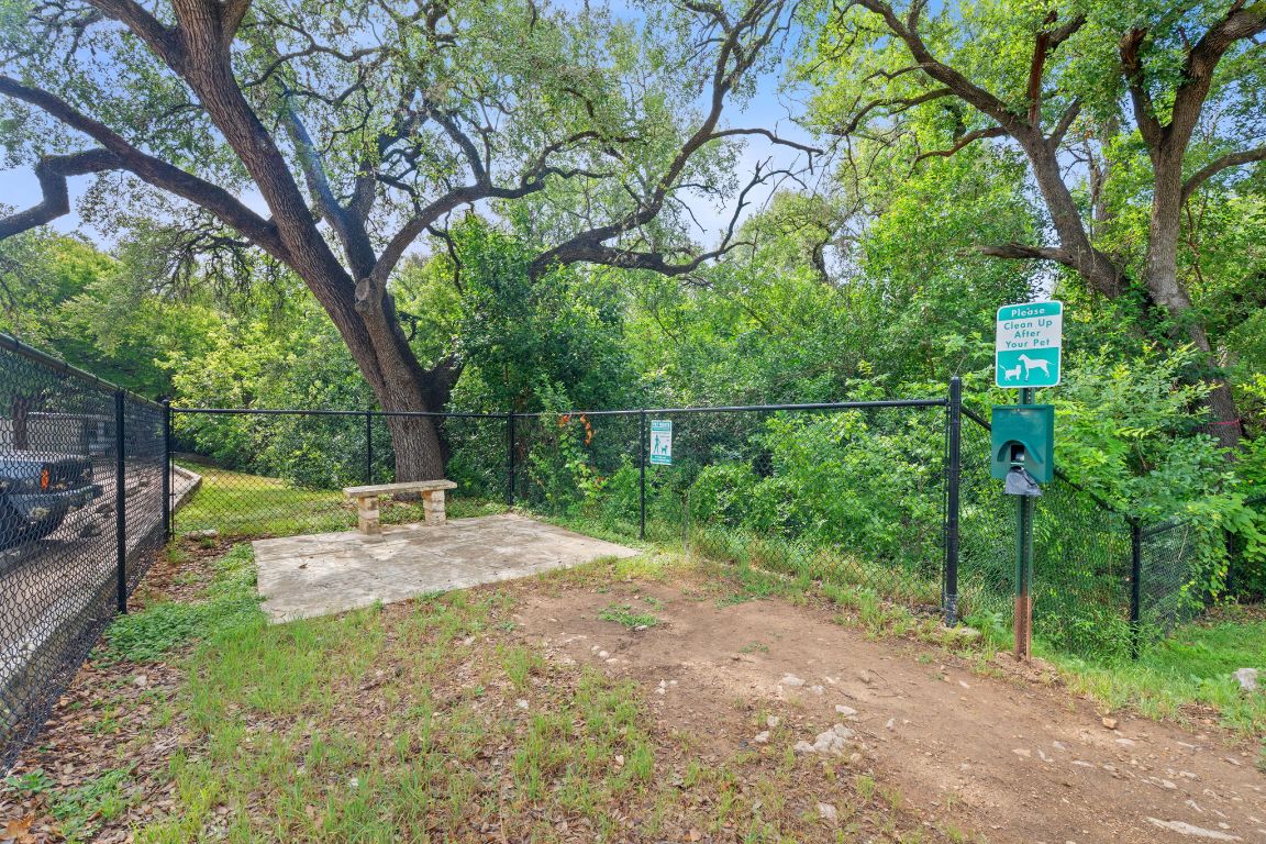3204 Menchaca Road, Unit 303 Austin, TX 78704 - Photo 20 of 26 a view of backyard with tree