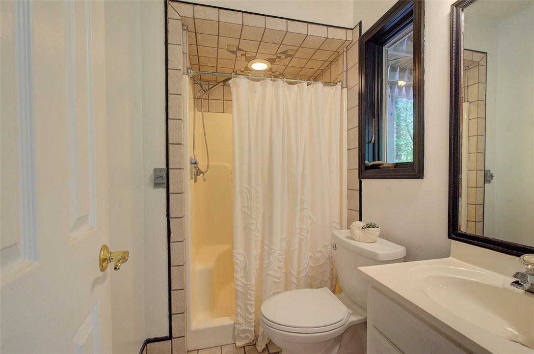 3 Rudder Court Salem, SC 29676 - Photo 40 of 50 Lower level full bath!