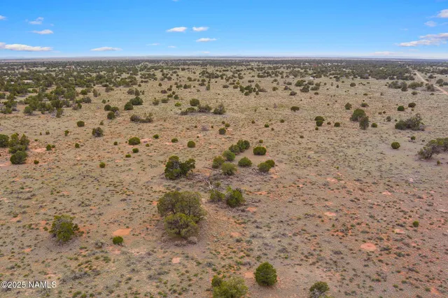 a view of an ocean beach
