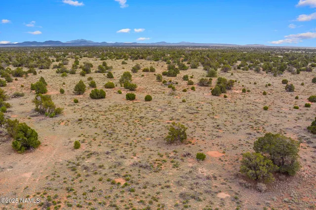 a view of city with ocean view