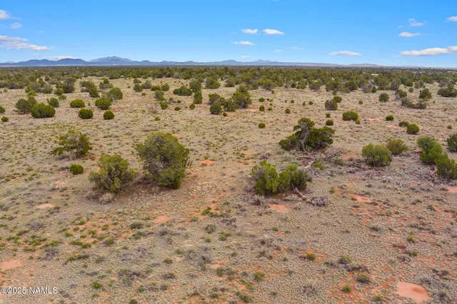 a view of an ocean beach