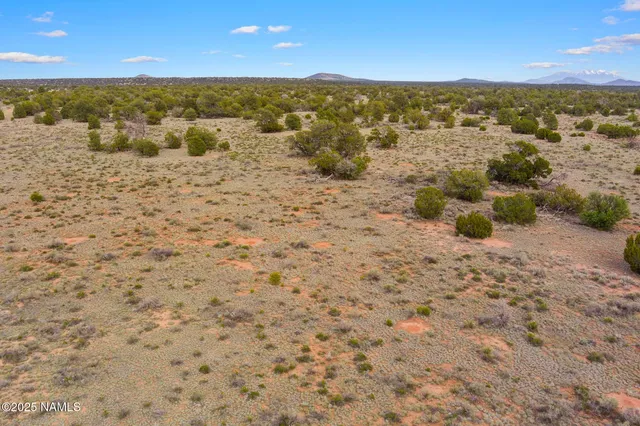 a view of beach and ocean