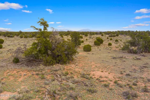 a view of a beach with a mountain